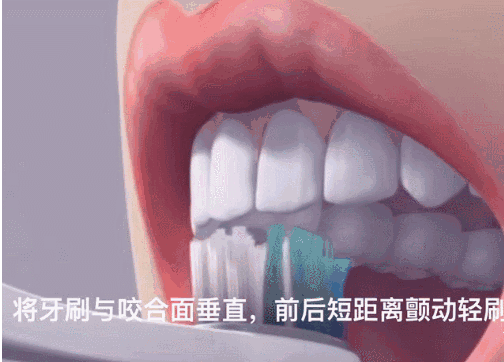 孩子怎么刷牙才干凈 寶寶不同年齡階段的刷牙方法