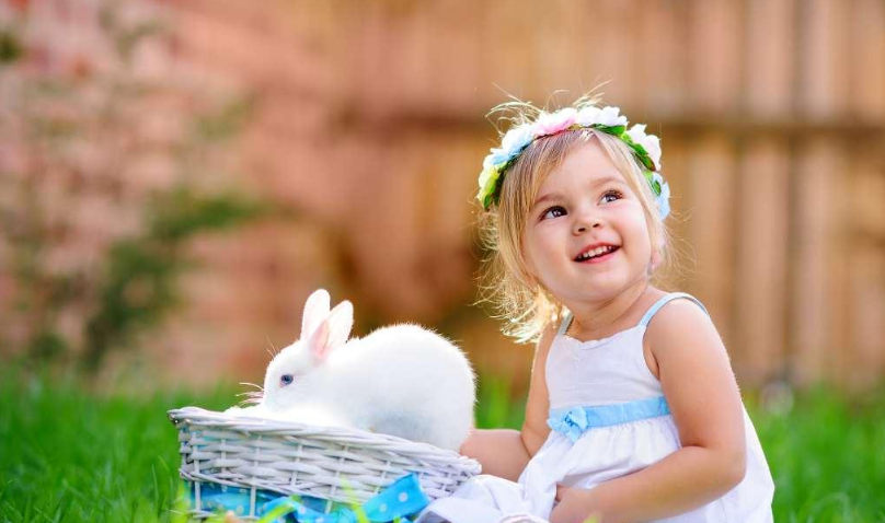 幼兒園質量評估辦法 北京市幼兒園辦園質量督導評估辦法內容