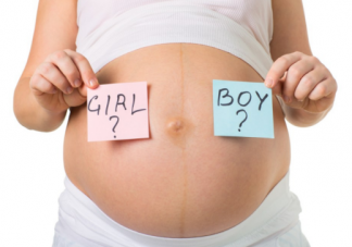 2019造豬寶寶倒計時 生豬寶寶的最晚時間