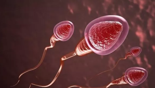 備孕時間長容易生男孩嗎 備孕時間長短和生男孩有關系嗎