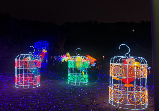 2019元宵節作文怎么寫優秀 小學生元宵節看花燈作文