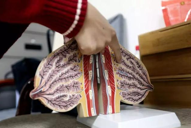 哺乳期堵奶了怎么辦 哺乳期堵奶的疏通辦法