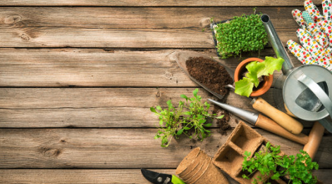 關(guān)于春天的古詩詞 春季古詩詞大全