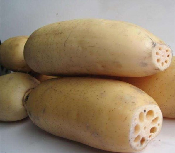 女性春季如何養(yǎng)生 女性春季養(yǎng)生重點 女性春季如何養(yǎng)生 女性春季養(yǎng)生重點