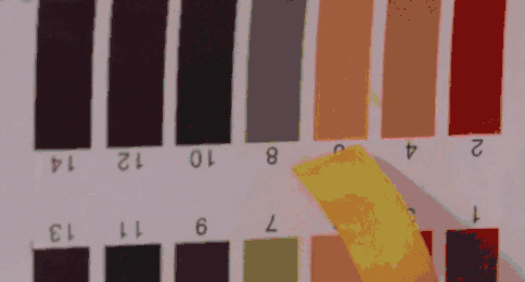 寶寶洗手液什么牌子好 5款兒童洗手液對比評測