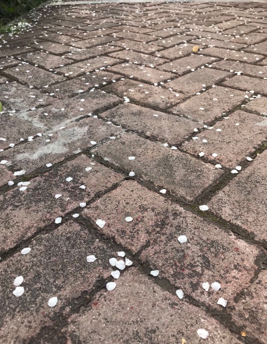 下雨早安說說怎么發 下雨早安帶字圖片