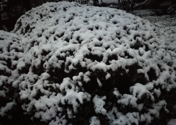 下雨早安說說怎么發 下雨早安帶字圖片