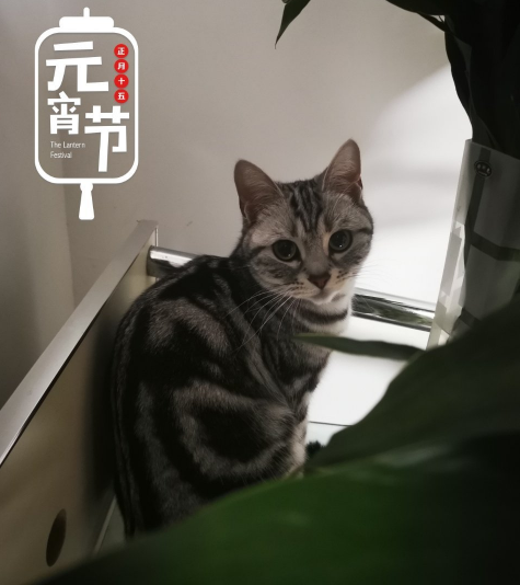 寶寶上學(xué)的說說心情 送孩子去學(xué)校上學(xué)怎么發(fā)說說朋友圈