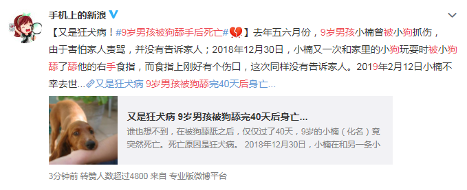 9歲男童被狗舔手后死亡是真的嗎 被狗舔也會(huì)得狂犬病嗎 9歲男童被狗舔手后死亡是真的嗎 被狗舔也會(huì)得狂犬病嗎