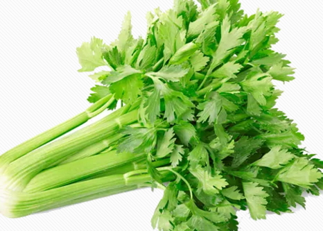 寶寶每次喝奶都會拉粑粑怎么如何預防寶寶便秘