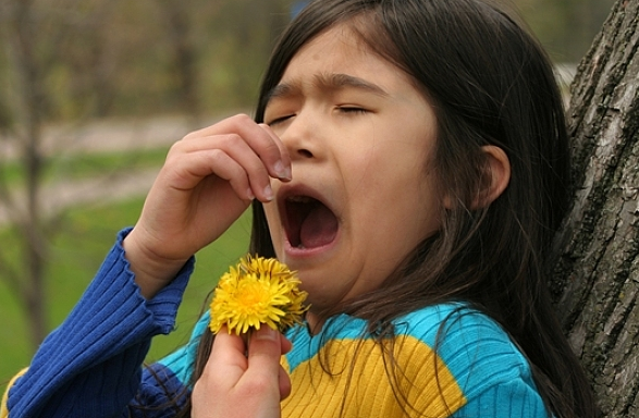 寶寶輔食過敏有哪些表現 輔食過敏怎么辦