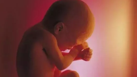 2019年2月13日受孕生男生女 農(nóng)歷正月初九懷孕生男孩還是女孩