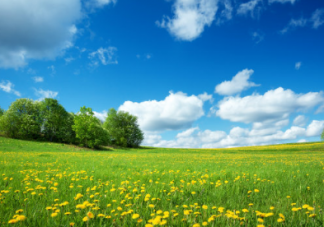 作文春天來了的短句 春天來了的句子集錦