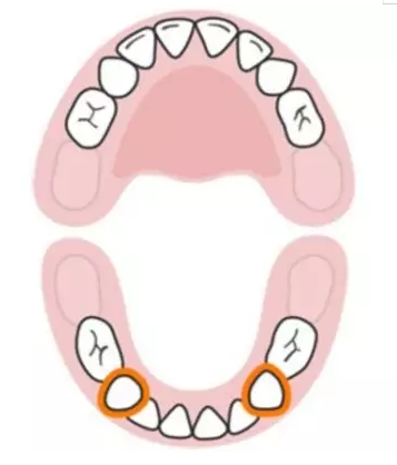 寶寶換牙時間表2019 兒童換牙時間順序 寶寶換牙時間表2019 兒童換牙時間順序