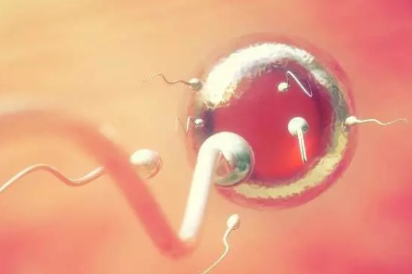 2019年2月21日受孕生男生女 農歷正月十七懷孕生男孩還是女孩