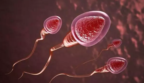 2019年2月21日受孕生男生女 農歷正月十七懷孕生男孩還是女孩