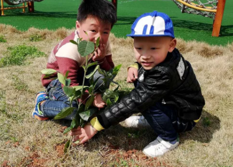 2019幼兒園植樹節(jié)通訊報(bào)道 植樹節(jié)幼兒園新聞報(bào)道內(nèi)容