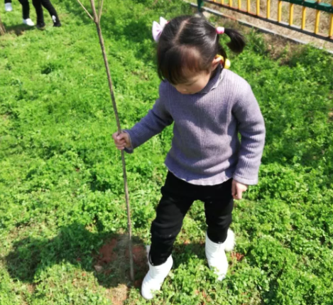 幼兒園大班植樹節(jié)報(bào)道2019 幼兒園大班植樹節(jié)活動(dòng)報(bào)道