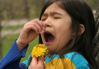 過敏高發季節 怎么減少孩子的過敏幾率