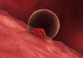 卵泡沒發(fā)育成熟就排卵怎么辦 小卵泡排卵會導(dǎo)致不孕嗎