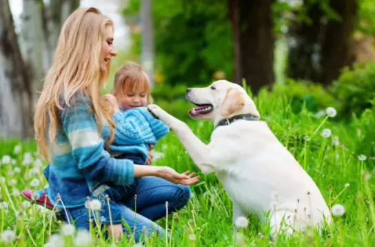 女兒發燒媽媽心情說說 女兒發燒媽媽心情感言