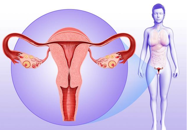 卵巢早衰還能生育嗎 卵巢早衰怎么調(diào)理