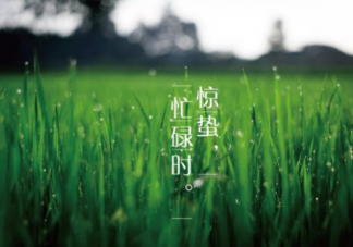 2019驚蟄文案海報合集 各品牌驚蟄創意文案匯總