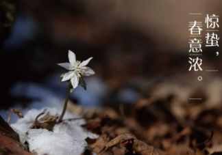 驚蟄節氣吃什么食物好 2019驚蟄養生食物推薦