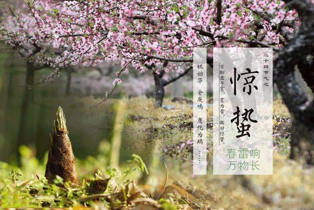 驚蟄時節吃什么傳統食物 驚蟄養生要點