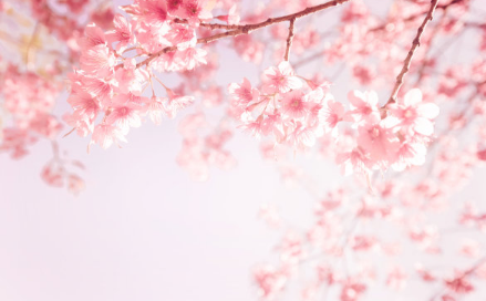 天氣好了心情好的說說 關于天氣好心情好說說配圖