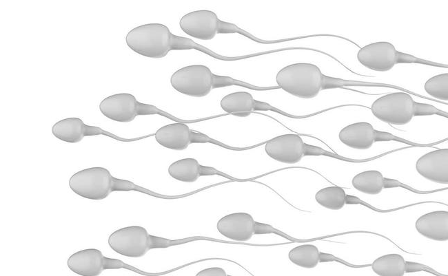 男性遺精是怎么回事 男性頻繁遺精怎么辦 男性遺精是怎么回事 男性頻繁遺精怎么辦