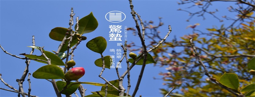 關于驚蟄打雷的說說 驚蟄打雷發什么說說朋友圈