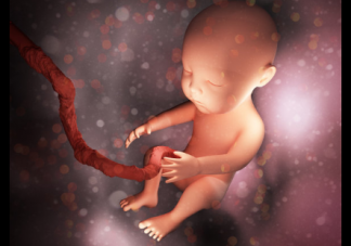 生完孩子需要存儲臍帶血干細胞嗎 血干細胞對孩子有什么用