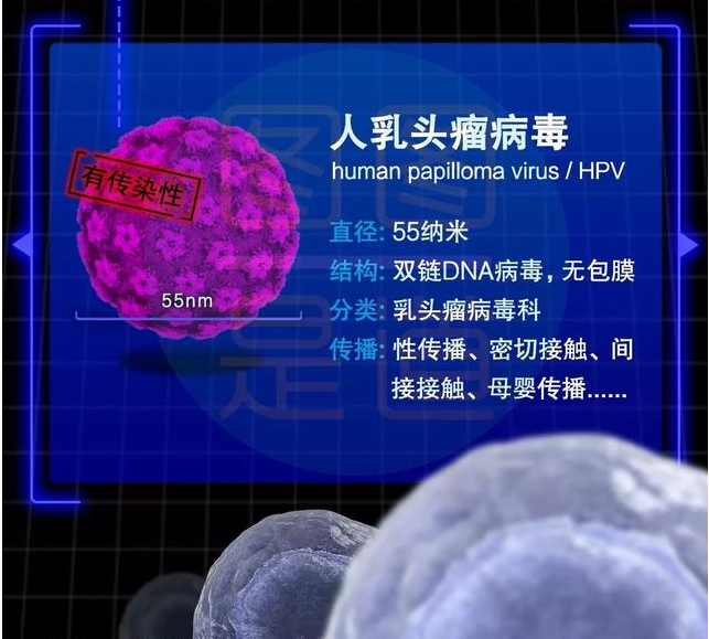 男性也可以打?qū)m頸疫苗嗎 男性打?qū)m頸疫苗可以預(yù)防什么疾病