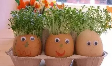 2019幼兒園植樹節現場精彩活動報道 幼兒植樹節如何開展的