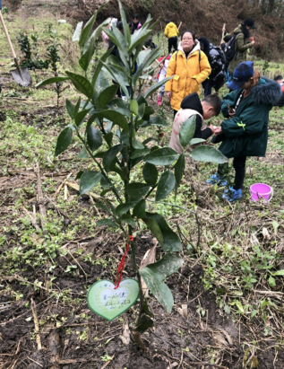 幼兒園植樹節通知家長怎么寫 幼兒園植樹節通知方案2019