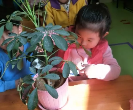 幼兒園植樹節(jié)活動(dòng)報(bào)道 312幼兒園植樹節(jié)活動(dòng)內(nèi)容