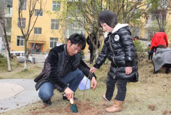 2019幼兒園植樹節(jié)簡訊報道 幼兒園植樹節(jié)新聞報道