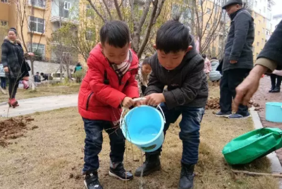 2019幼兒園植樹節(jié)簡(jiǎn)訊報(bào)道 幼兒園植樹節(jié)新聞報(bào)道