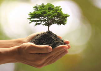 關(guān)于植樹節(jié)的古詩 描寫植樹節(jié)的句子