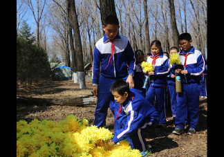 2019清明節主題活動如何開展 清明節的活動方案