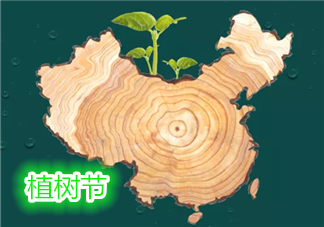 3.12幼兒園植樹節(jié)活動(dòng)新聞報(bào)道 關(guān)于幼兒園植樹節(jié)新聞報(bào)道2019