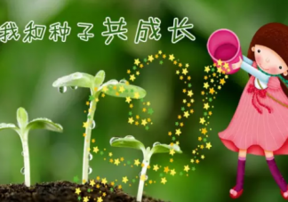2019幼兒園植樹節(jié)活動(dòng)方案 幼兒園植樹節(jié)活動(dòng)全過程