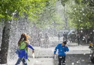 春季孩子花粉過敏口罩別亂選  孩子出現過敏怎么辦