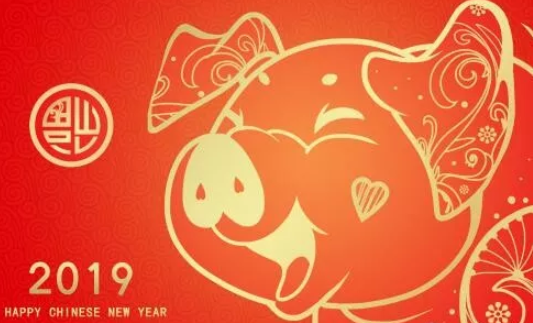 2019是金豬寶寶嗎 最近的金豬寶寶是哪一年