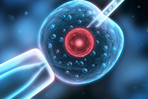 80后怎么備孕 高齡女性快速備孕方法