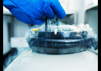 36歲阿sa打針冷凍卵子 冷凍卵子真的靠譜嗎