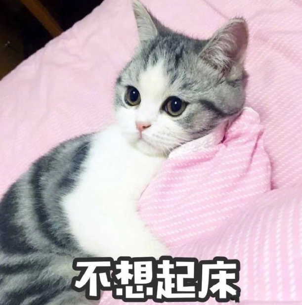 早安周六正能量語錄 2019星期六早安發(fā)什么好