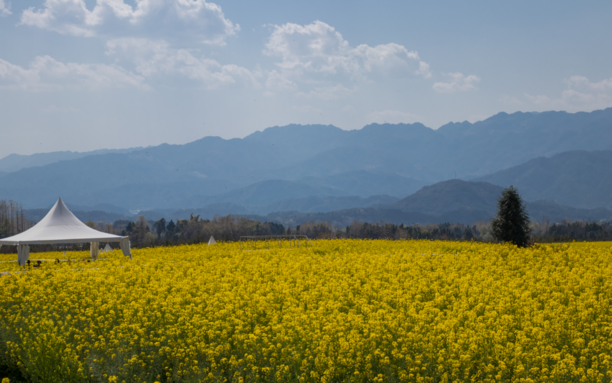 春暖花開踏青的說說 2019春天踏青發(fā)什么說說朋友圈