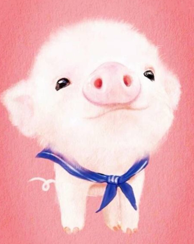 學齡前寶寶睡前故事 小黑豬的大肚子